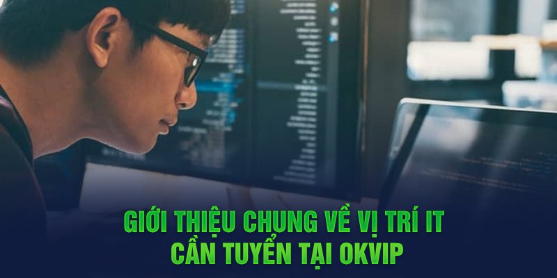 Giới thiệu chung về vị trí IT cần tuyển tại OKVIP