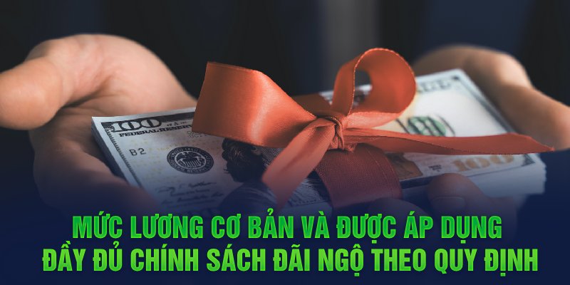 Mức lương cơ bản và được áp dụng đầy đủ chính sách đãi ngộ theo quy định