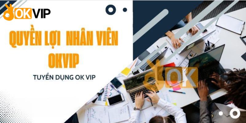 Những phần thưởng được quy định rõ trong đãi ngộ làm việc OKVIP 