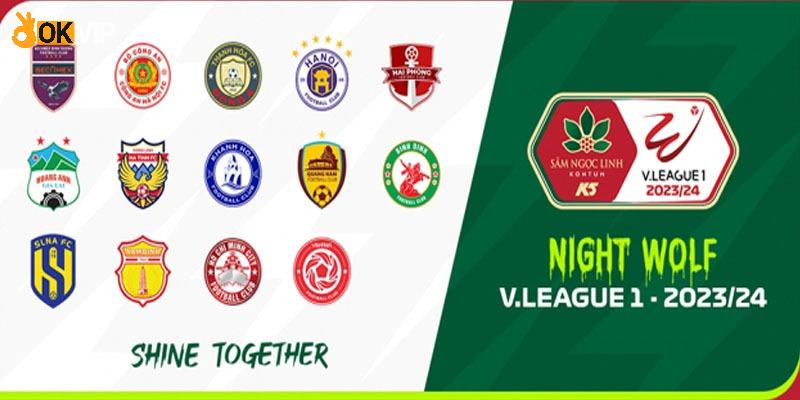 Những cái tên góp mặt ở V.League 1 2024