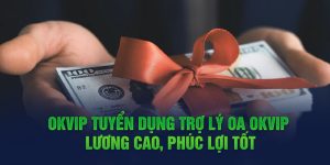 OKVIP tuyển dụng trợ lý OA lương cao, phúc lợi tốt